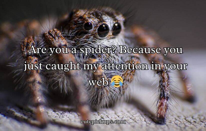 Spiderman Pick Up Line