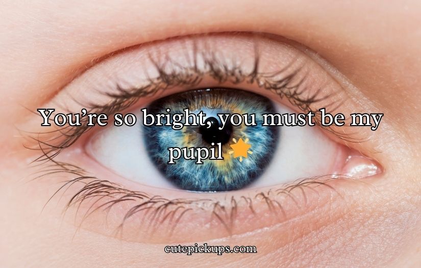 Eye Puns