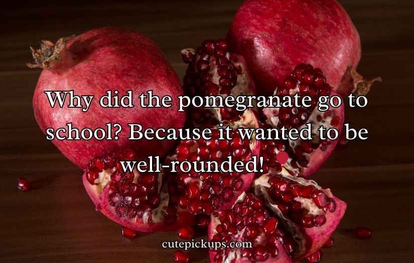 Juicy Pomegranate Puns