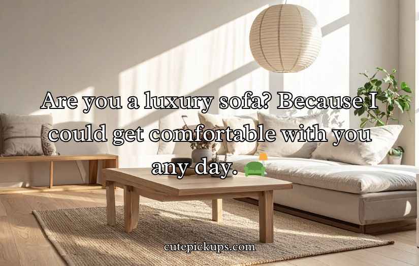 Furniture Pickup Lines