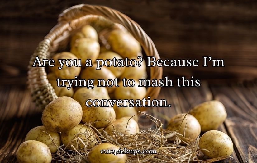 Potato Pick Up Lines