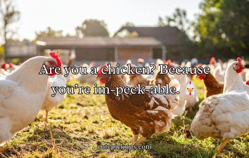Farm Pick Up Lines