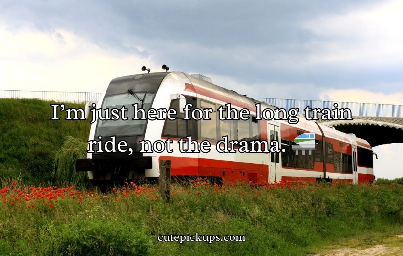 Train Puns and Jokes