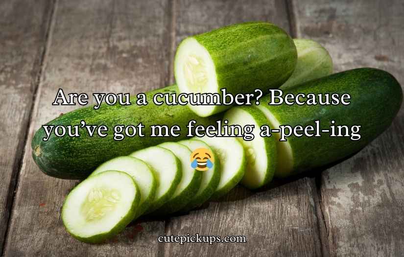Cucumber Pick Up Lines
