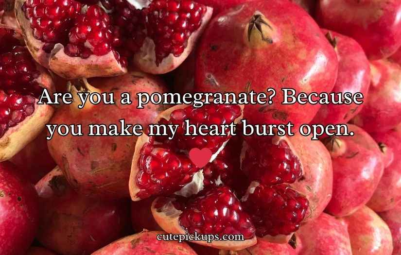 Juicy Pomegranate Puns