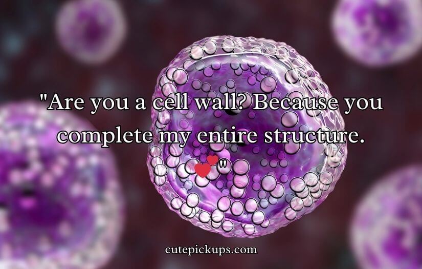 Cell Wall Pick Up Lines