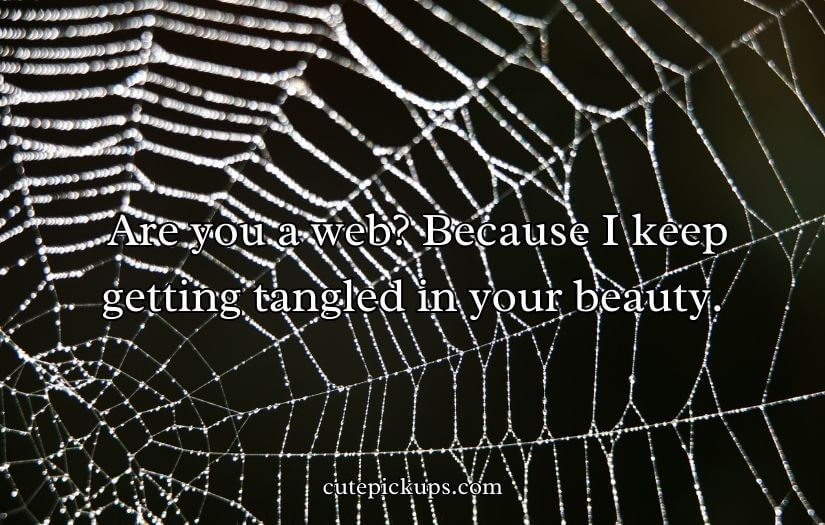 Spiderman Pick Up Line