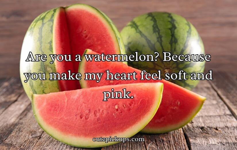Watermelon Pick Up Lines