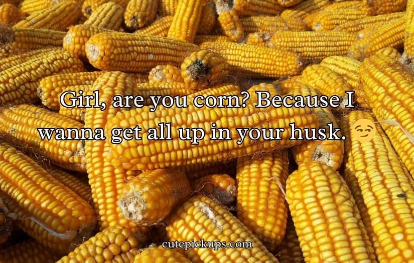 Corn Pick Up Lines