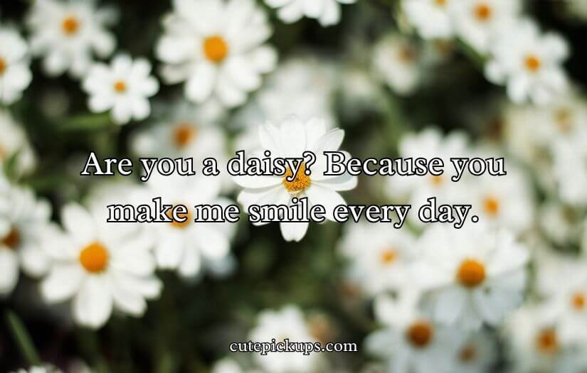 Flower Pick Up Lines