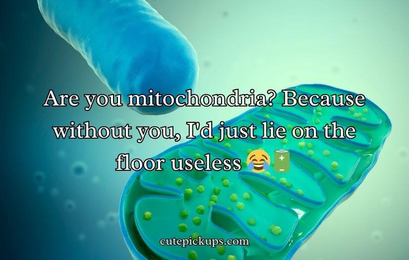 Mitochondria Pick Up Lines