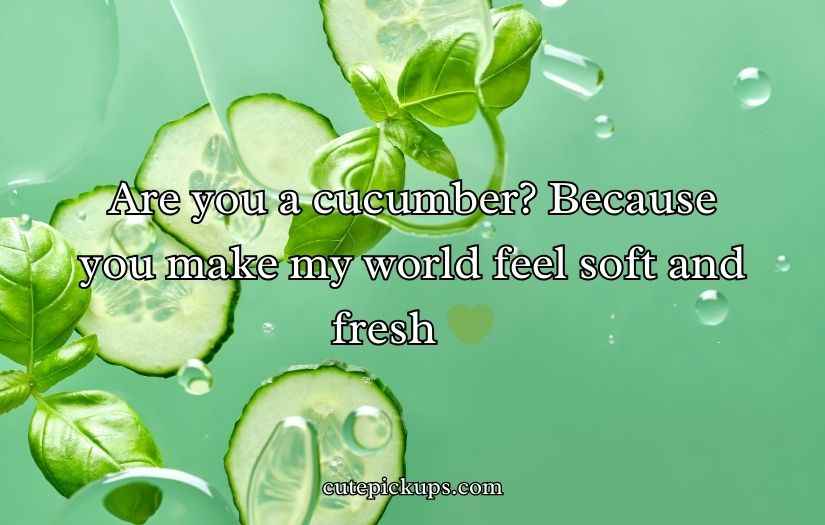 Cucumber Pick Up Lines