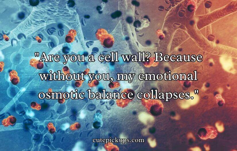 Cell Wall Pick Up Lines