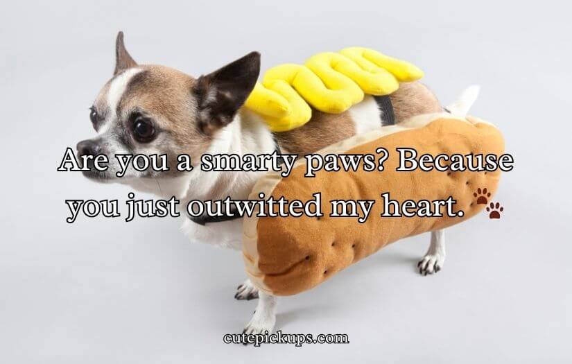 Doggone Clever Pick-Up Lines