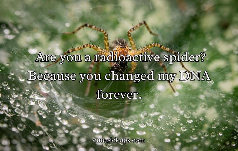Spiderman Pick Up Line
