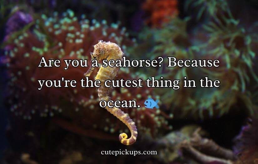 Animal Pick Up Lines