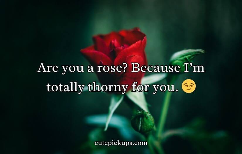Flower Pick Up Lines