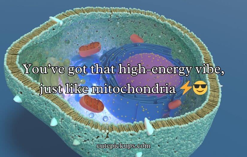 Mitochondria Pick Up Lines