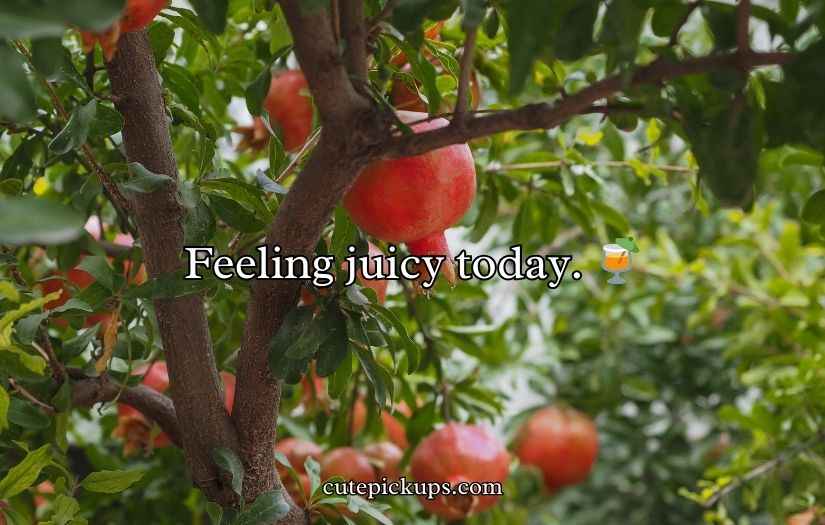 Juicy Pomegranate Puns