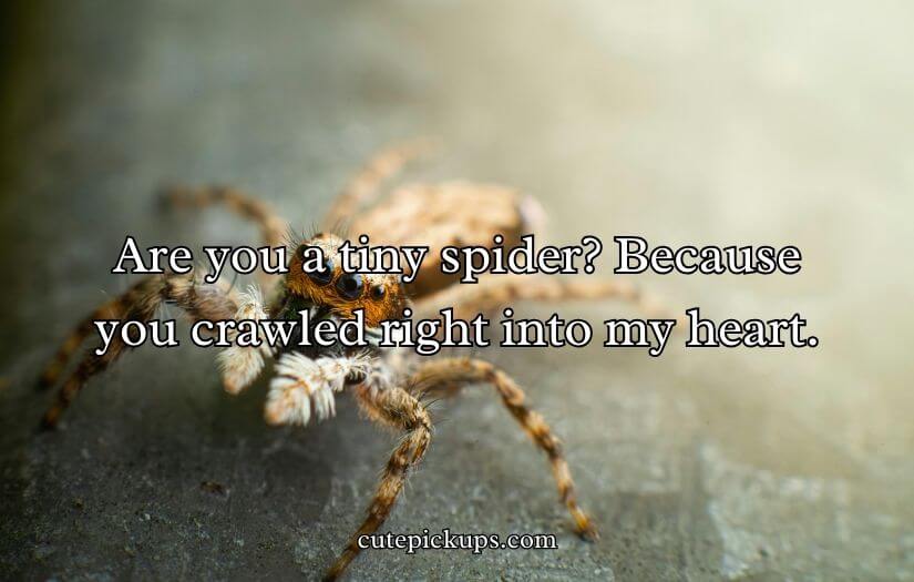 Spiderman Pick Up Line