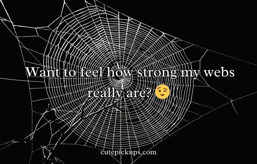 Spiderman Pick Up Line