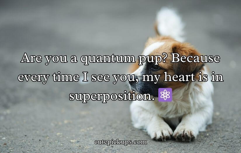 Doggone Clever Pick-Up Lines