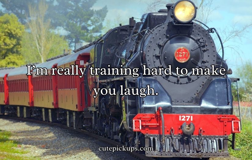 Train Puns and Jokes