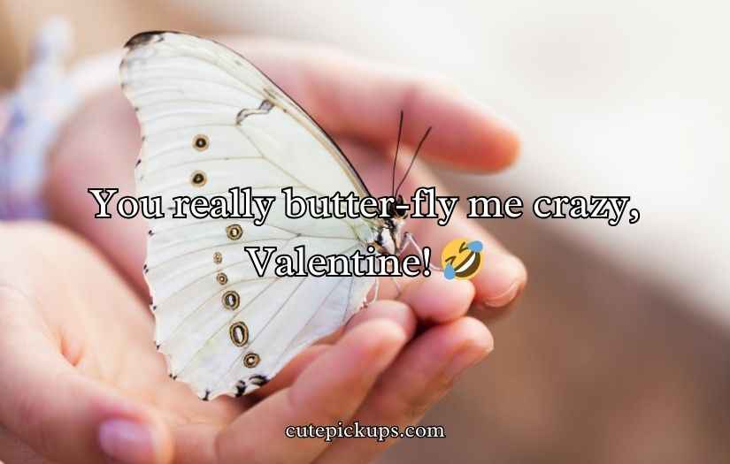 Butterfly Puns for Valentine’s Day