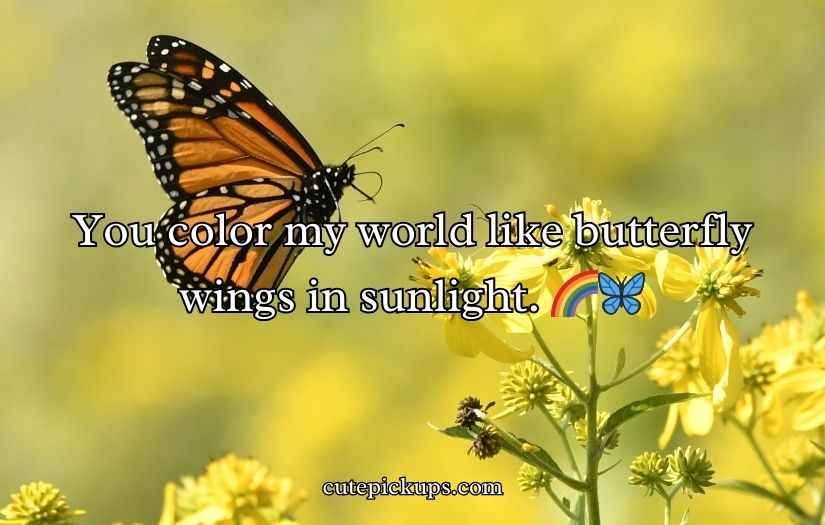 Butterfly Puns for Valentine’s Day