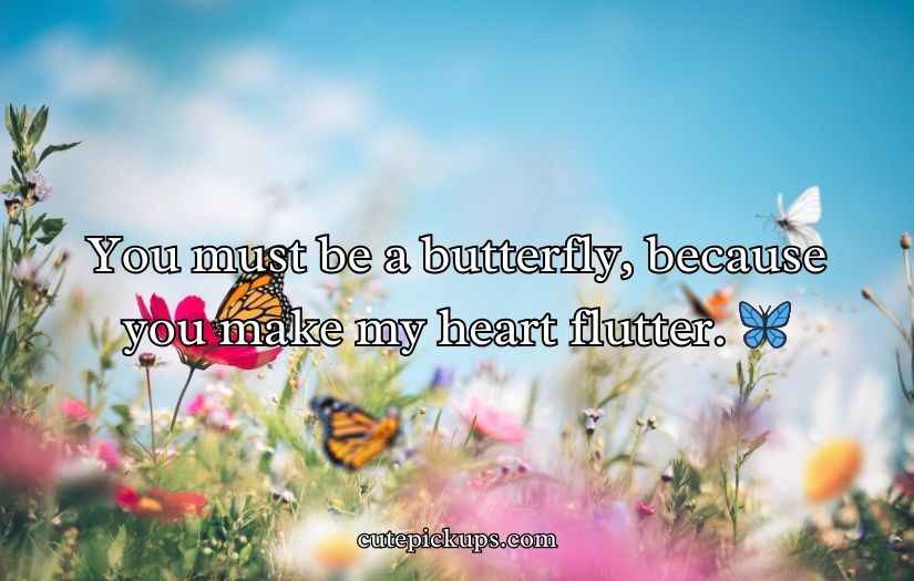 Butterfly Puns for Valentine’s Day
