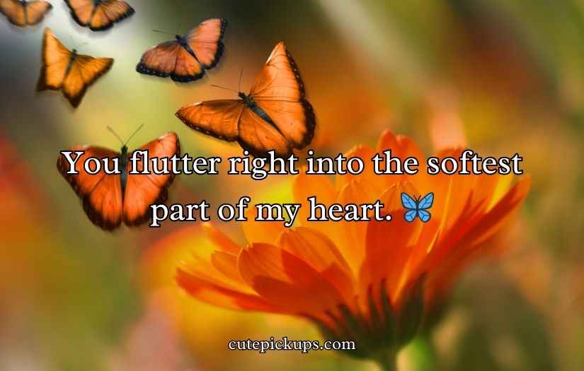 Butterfly Puns for Valentine’s Day