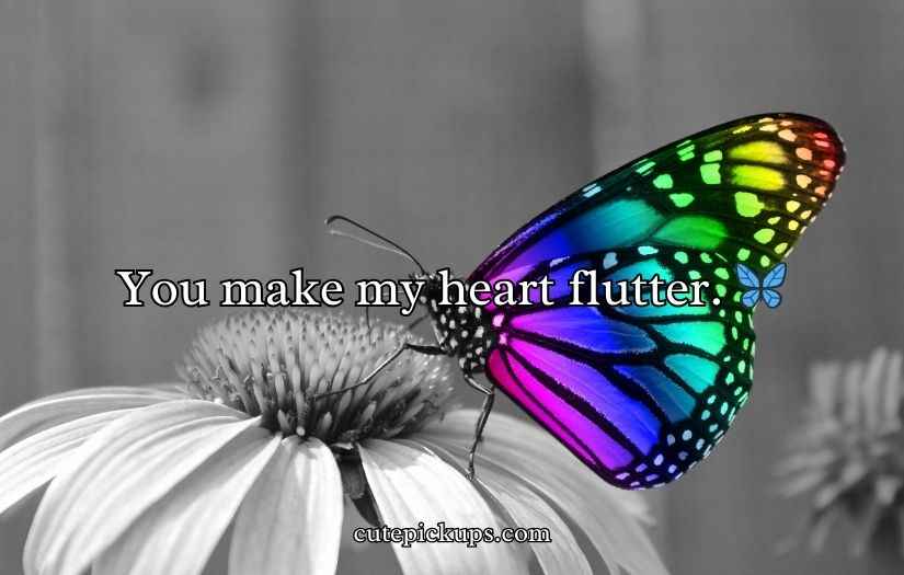 Butterfly Puns for Valentine’s Day