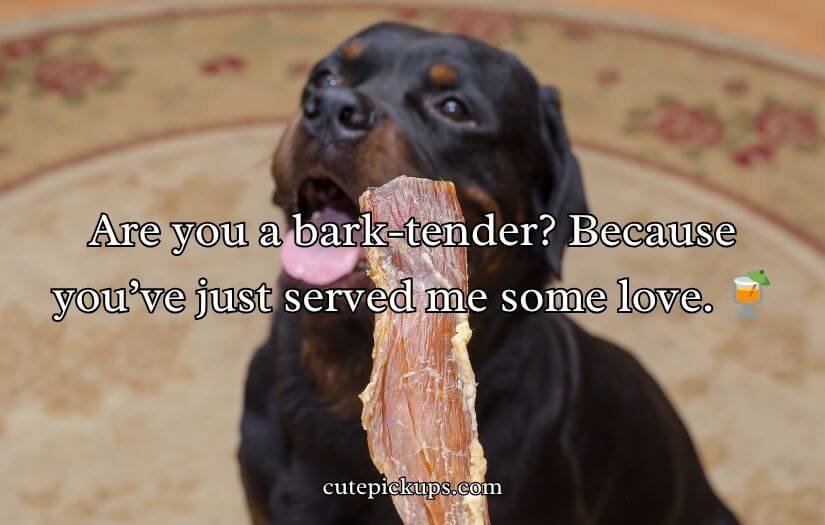 Doggone Clever Pick-Up Lines