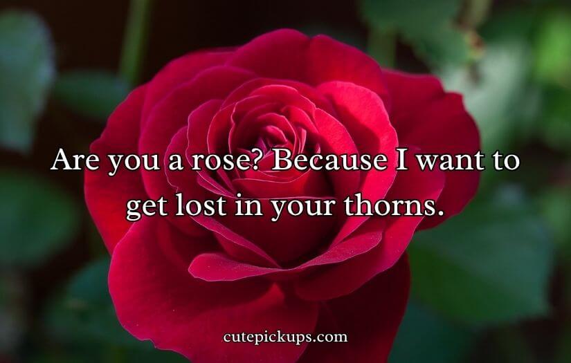 Flower Pick Up Lines