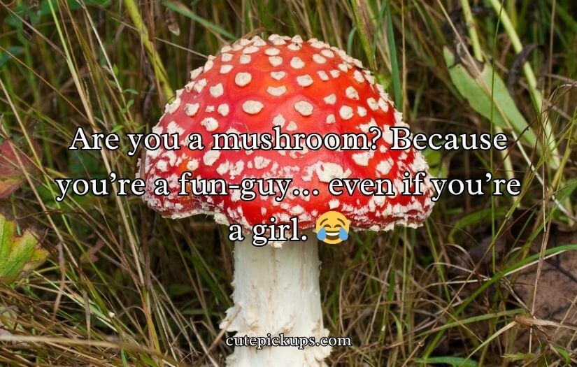 Mushroom Pick-Up Lines