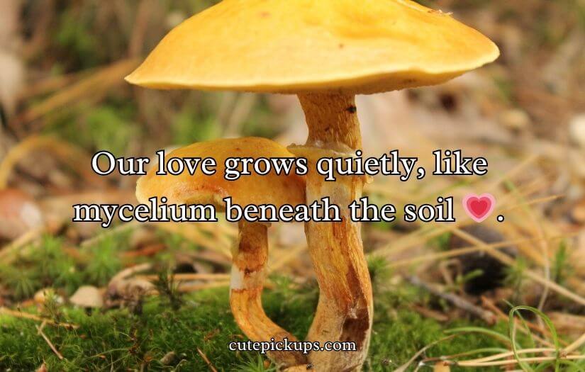 Mushroom Pick-Up Lines