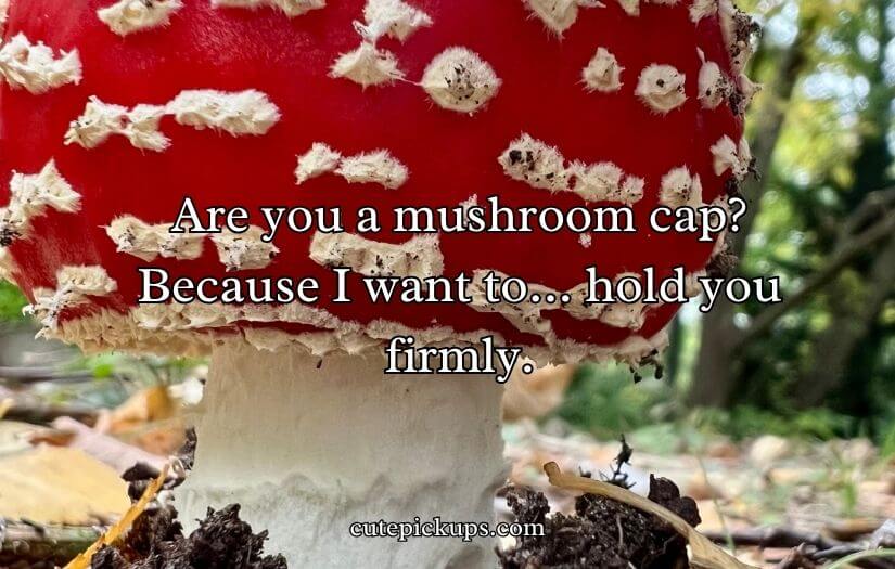Mushroom Pick-Up Lines