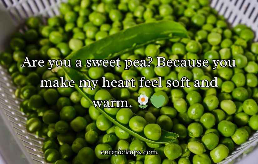 Pea Pickup Lines