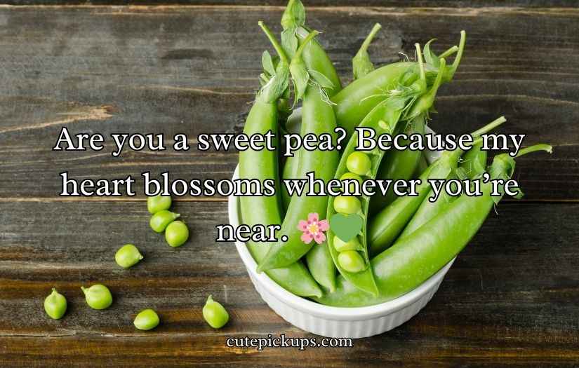 Pea Pickup Lines