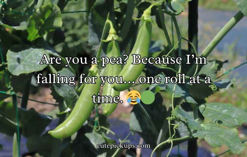 Pea Pickup Lines
