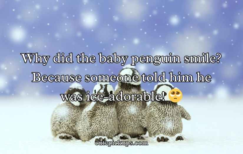 Penguin Jokes Puns