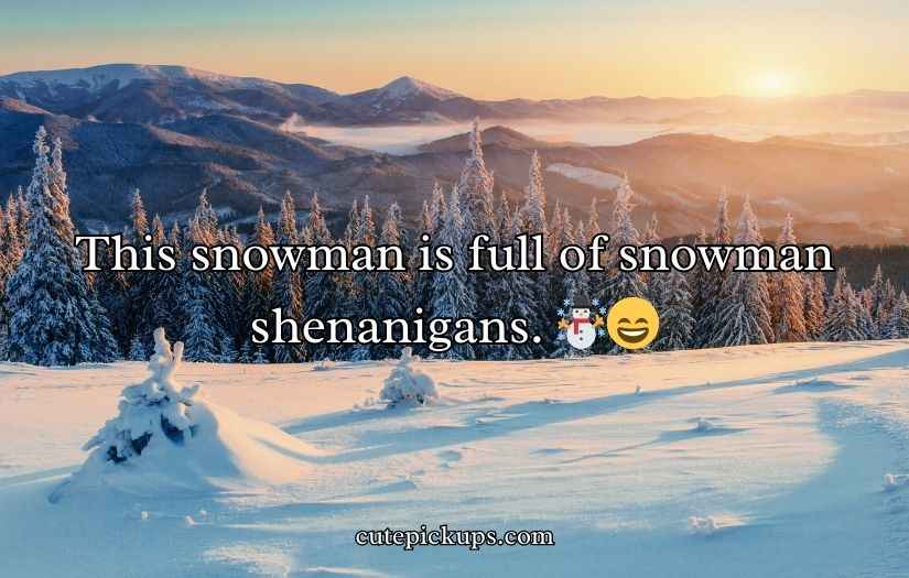 Snow Puns