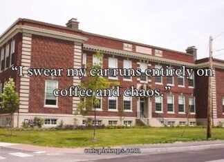 School Pickup Line Mom School Pickup Line Mom