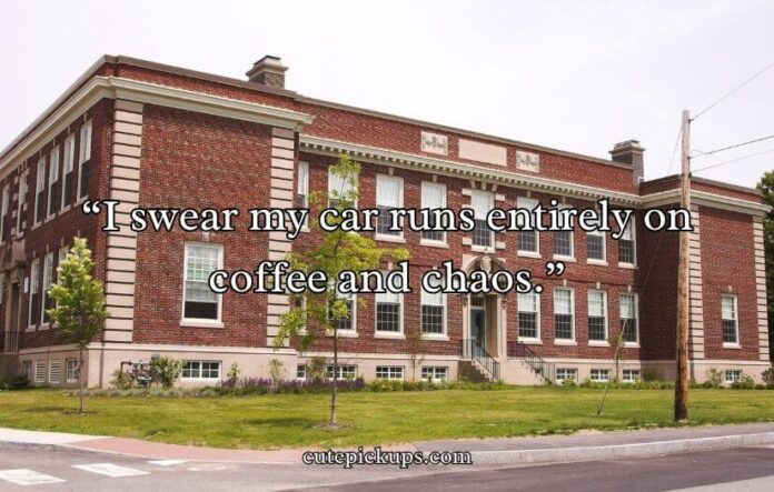 School Pickup Line Mom