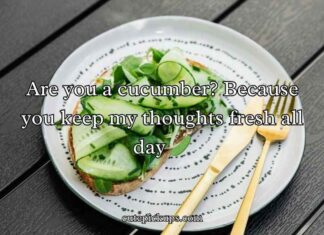 Cucumber Pick Up Lines Cucumber Pick Up Lines