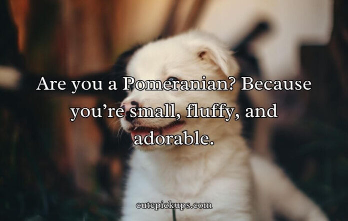 Doggone Clever Pick-Up Lines