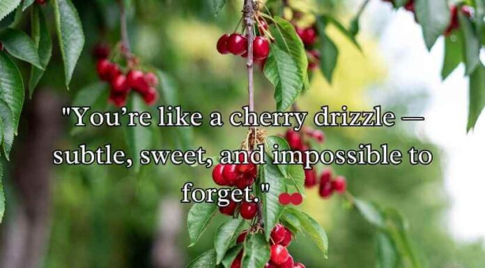 Cherry Rizz Lines Cherry Rizz Lines