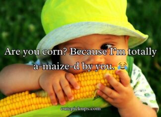 Corn Pick Up Lines Corn Pick Up Lines