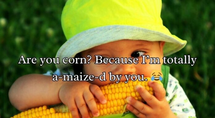 Corn Pick Up Lines Corn Pick Up Lines