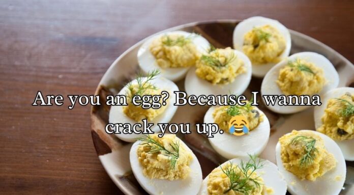 Egg Pick Up Lines Egg Pick Up Lines